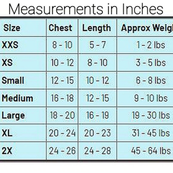 Small dog vest - Picture 3 of 3